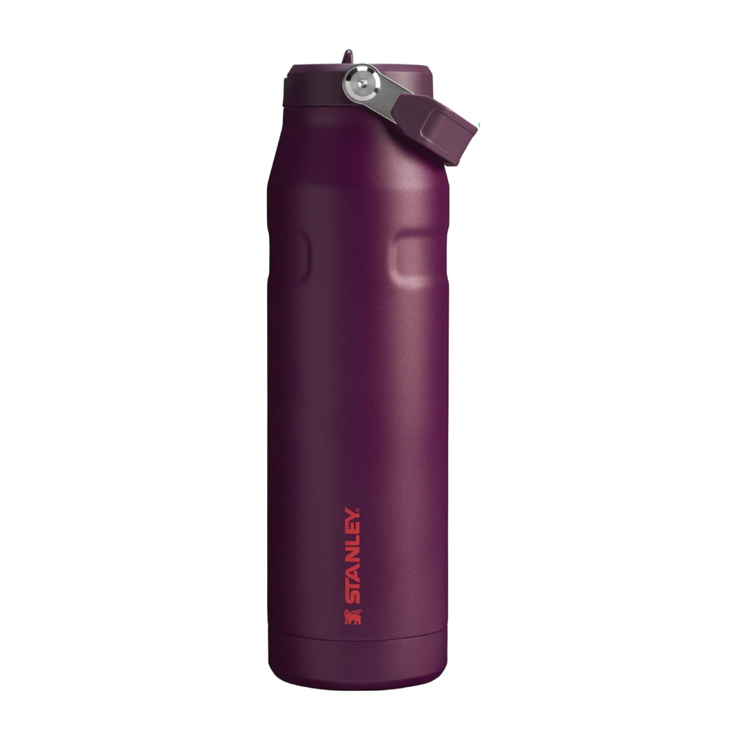 Iceflow Flip Staw 2.0 Water Bottle