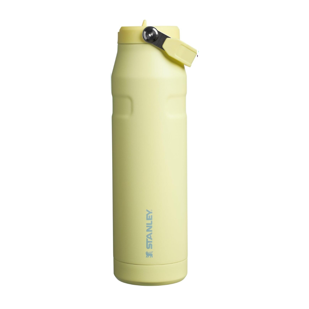 Iceflow Flip Staw 2.0 Water Bottle