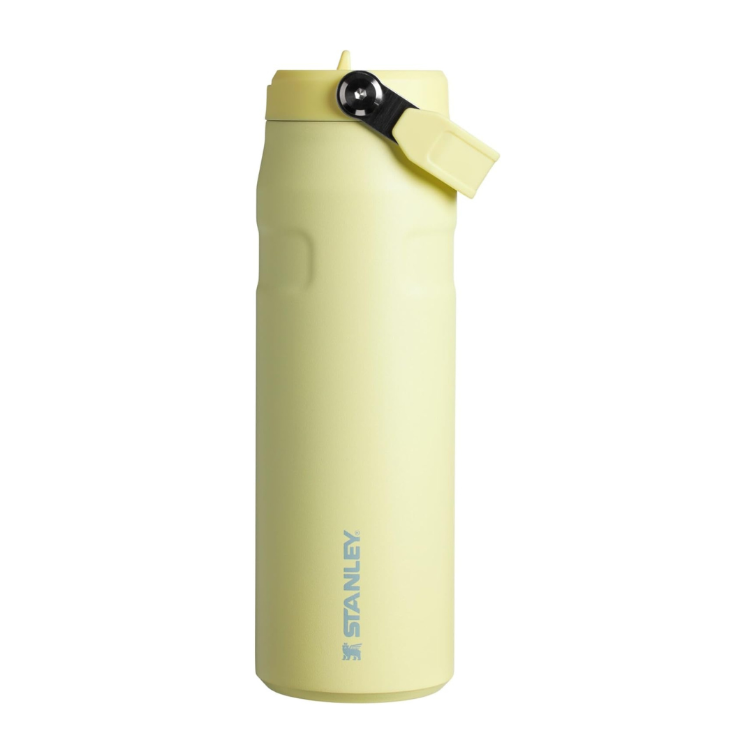 Iceflow Flip Staw 2.0 Water Bottle