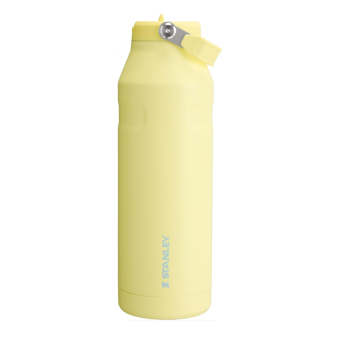 Iceflow Flip Staw 2.0 Water Bottle