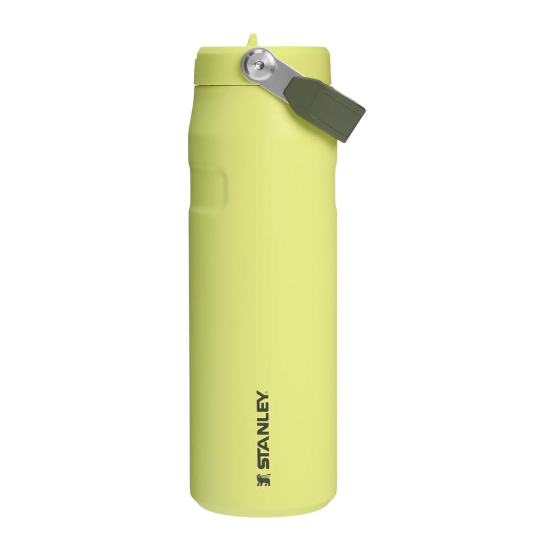 Iceflow Flip Staw 2.0 Water Bottle