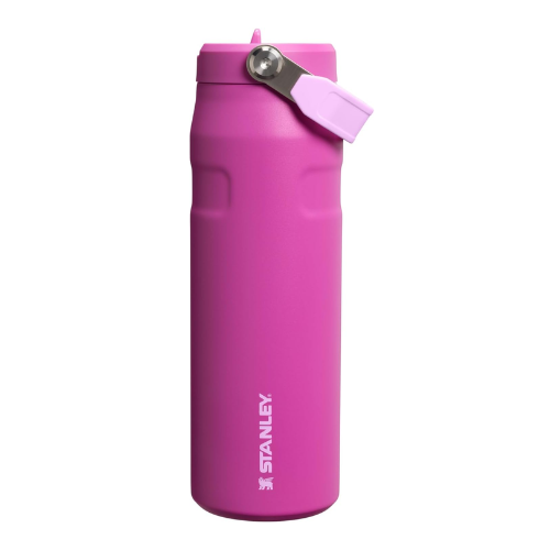 Iceflow Flip Staw 2.0 Water Bottle