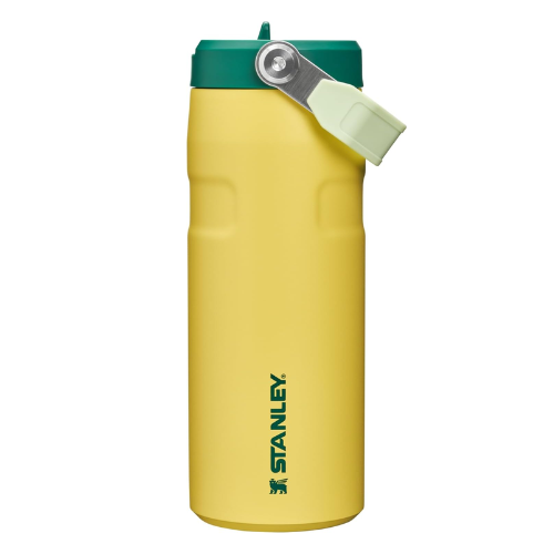 Iceflow Flip Straw 2.0 Water Bottle