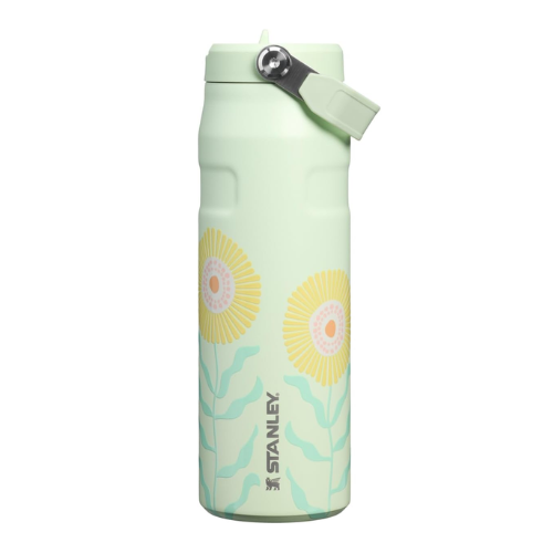 Iceflow Flip Straw 2.0 Water Bottle