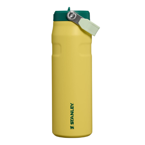 Iceflow Flip Straw 2.0 Water Bottle